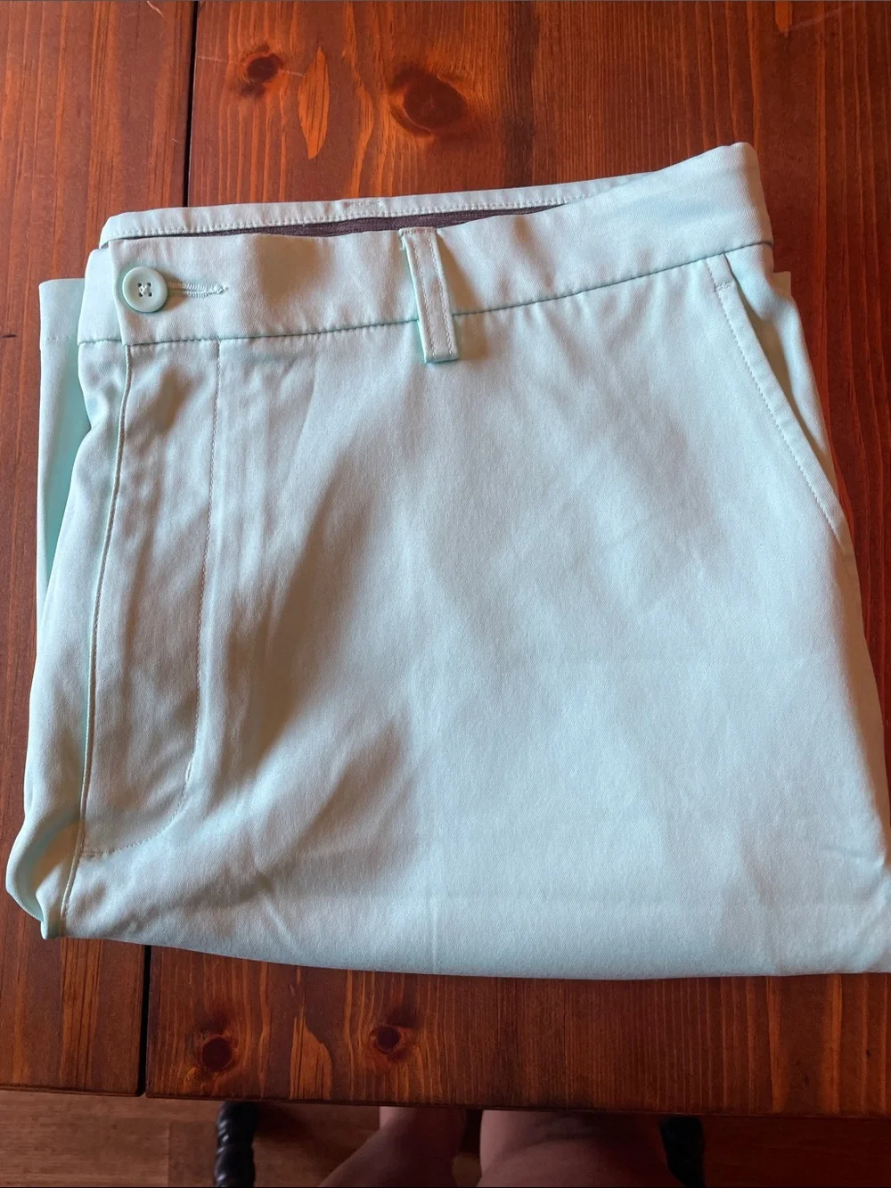 Men's aqua blue Performance Shorts 42